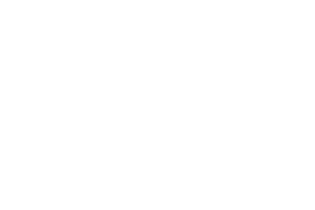 Minti logo